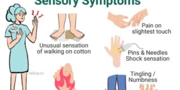 Understanding Peripheral Neuropathy